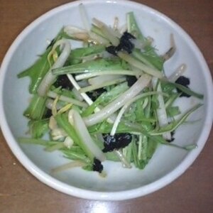 簡単～もやしとみず菜の焼き海苔ポン酢あえ